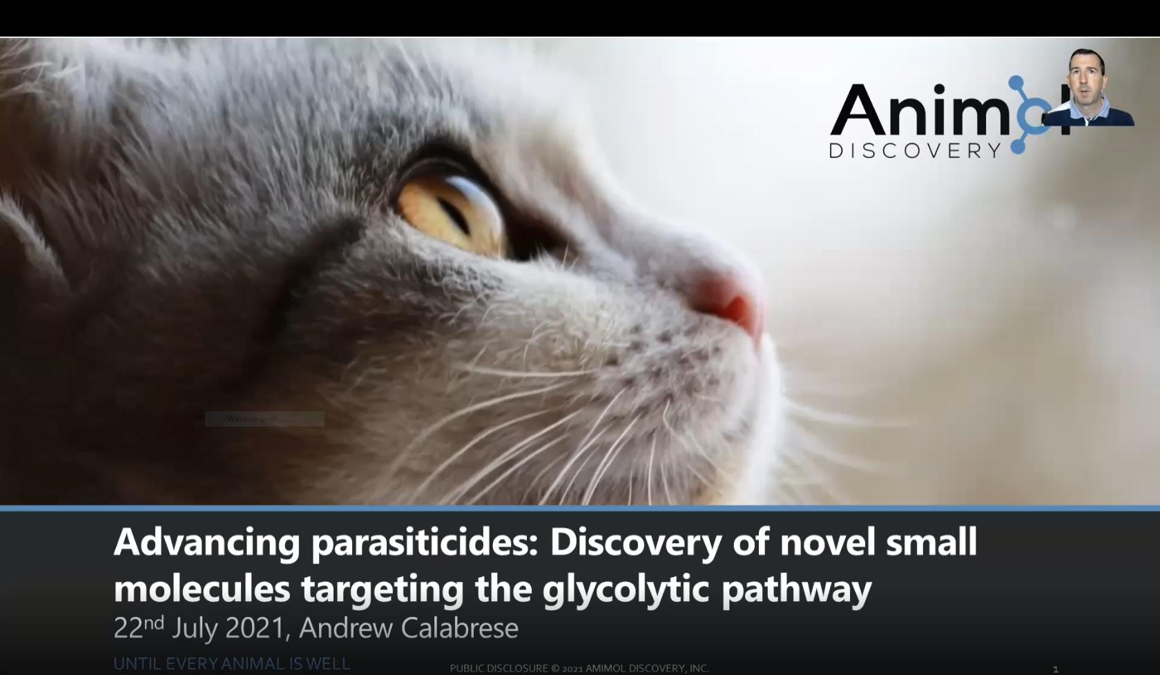 Publications – Animol Discovery Publications – Animol Discovery